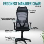 ERGONEST MANAGER CHAIR